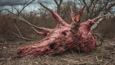 solo,weapon,outdoors,sky,day,sword,cloud,tree,no humans,blood,cloudy sky,grass,nature,forest,monster,bare tree,bone,death,corpse,scenery,realistic,horror (theme)