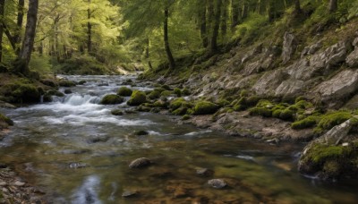 outdoors,day,water,tree,no humans,sunlight,grass,nature,scenery,forest,rock,river,waterfall,stream,landscape