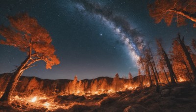 outdoors,sky,cloud,tree,no humans,night,grass,fire,star (sky),nature,night sky,scenery,forest,starry sky,reflection,mountain,autumn leaves,bare tree,autumn,landscape,campfire,milky way