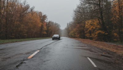 outdoors,sky,day,cloud,tree,no humans,ground vehicle,nature,scenery,motor vehicle,forest,car,road,street,grey sky,grass,snow,realistic,autumn leaves,bare tree,autumn