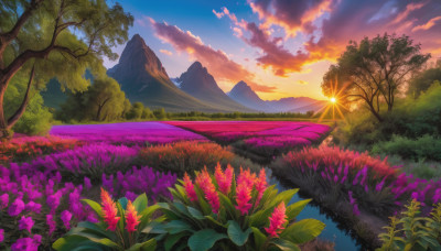 flower, outdoors, sky, cloud, water, tree, no humans, cloudy sky, grass, nature, scenery, sunset, mountain, sun, field