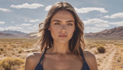 1girl,solo,long hair,looking at viewer,brown hair,bare shoulders,brown eyes,closed mouth,collarbone,upper body,outdoors,sky,day,cloud,medium hair,mole,blurry,blue sky,lips,depth of field,blurry background,wind,portrait,freckles,mountain,realistic,nose,field,dress,thick eyebrows,cloudy sky