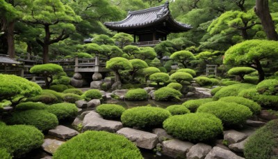 outdoors,day,tree,no humans,grass,building,nature,scenery,forest,rock,stairs,torii,architecture,east asian architecture,shrine,moss,stone,stone lantern,real world location,hat,bush,green theme