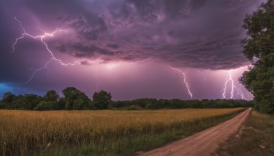 outdoors,sky,cloud,tree,no humans,cloudy sky,grass,nature,scenery,forest,electricity,road,field,lightning,landscape,path,purple sky