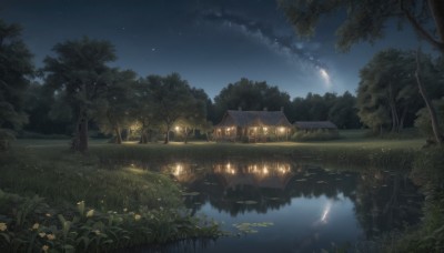 flower,outdoors,sky,cloud,water,tree,no humans,night,grass,plant,building,star (sky),nature,night sky,scenery,forest,starry sky,reflection,house,river,lake,reflective water