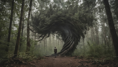 solo, 1boy, outdoors, tree, nature, scenery, forest, monster