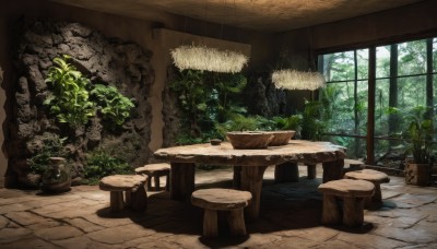 day,indoors,tree,no humans,window,chair,table,sunlight,plant,nature,scenery,wooden floor,potted plant,bush,stool,wooden table,wooden chair,flower,bowl