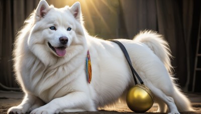 HQ,looking at viewer,open mouth,blue eyes,full body,lying,tongue,indoors,tongue out,blurry,no humans,window,animal,fangs,on side,on stomach,curtains,gem,dog,realistic,animal focus,white fur,lion,solo,signature,feathers