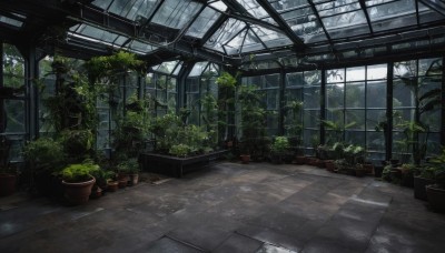 day,indoors,tree,no humans,window,sunlight,plant,scenery,potted plant,ruins,overgrown,artist name,tiles,tile floor