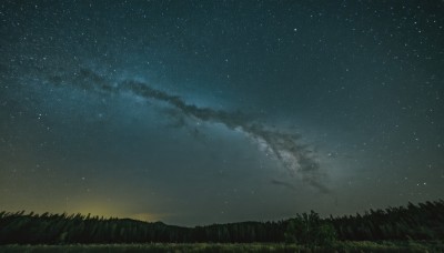 outdoors,sky,cloud,tree,no humans,night,grass,star (sky),nature,night sky,scenery,forest,starry sky,gradient sky,milky way