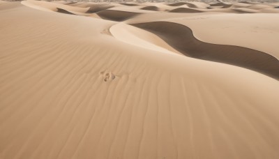 1girl,shirt,1boy,standing,outdoors,day,beach,scenery,walking,sand,wide shot,desert,footprints