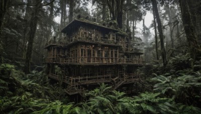 outdoors,day,tree,no humans,sunlight,plant,building,nature,scenery,forest,stairs,architecture,house,bridge,east asian architecture,green theme,window,ruins,overgrown