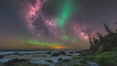 outdoors,sky,cloud,water,tree,no humans,night,ocean,beach,grass,star (sky),night sky,scenery,starry sky,rock,horizon,shore,milky way,aurora