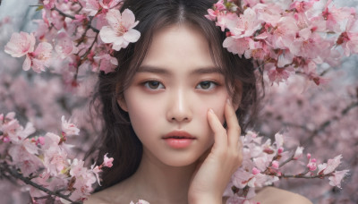 1girl, solo, long hair, looking at viewer, brown hair, black hair, brown eyes, flower, parted lips, blurry, lips, fingernails, depth of field, blurry background, cherry blossoms, portrait, hand on own face, realistic, nose, branch