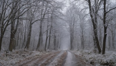 monochrome,outdoors,day,tree,no humans,traditional media,grass,nature,scenery,snow,forest,road,winter,bare tree,landscape,fog,path,sunlight