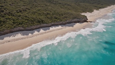 outdoors,day,water,tree,no humans,ocean,beach,nature,scenery,forest,sand,waves,shore,sky,from above