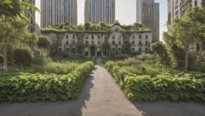 outdoors,sky,day,cloud,tree,no humans,shadow,grass,plant,building,scenery,city,road,bush,cityscape,ruins,lamppost,street,skyscraper,overgrown,path