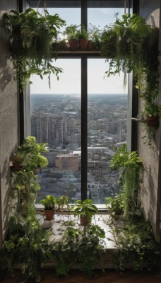 outdoors,sky,day,indoors,water,no humans,window,ocean,plant,building,scenery,city,potted plant,cityscape,vines,skyscraper,cloud,leaf,horizon