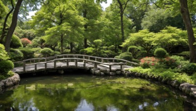 flower,outdoors,day,water,tree,no humans,sunlight,grass,plant,nature,scenery,forest,rock,bush,bridge,river,landscape,moss,pond,stream,signature,reflection