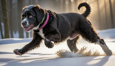 HQ,solo,open mouth,brown eyes,tail,full body,outdoors,day,tongue,tongue out,blurry,collar,tree,no humans,blurry background,animal,snow,running,dog,snowing,realistic,animal focus,winter,looking at viewer,signature,shadow,nature,claws,forest,walking