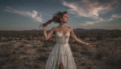 1girl,solo,long hair,breasts,brown hair,dress,cleavage,bare shoulders,jewelry,medium breasts,standing,collarbone,closed eyes,braid,earrings,outdoors,sky,choker,cloud,dark skin,necklace,white dress,bracelet,dark-skinned female,lips,looking to the side,strapless,cloudy sky,strapless dress,mountain,realistic,field,mountainous horizon,scenery,landscape