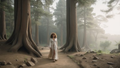 1girl,solo,short hair,skirt,brown hair,shirt,black hair,long sleeves,dress,brown eyes,standing,outdoors,day,tree,coat,sunlight,grass,nature,scenery,forest,walking,long skirt,brown skirt,rock,wide shot,japanese clothes,wide sleeves,kimono,sandals,hakama,hakama skirt,white kimono,miko,red hakama