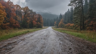 outdoors,sky,day,cloud,tree,no humans,cloudy sky,grass,nature,scenery,forest,mountain,road,autumn leaves,landscape,grey sky,path,leaf,sunlight