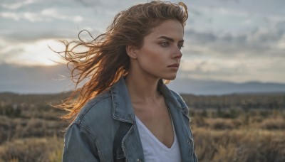 1girl,solo,long hair,brown hair,shirt,brown eyes,closed mouth,collarbone,jacket,white shirt,upper body,outdoors,open clothes,sky,day,cloud,blurry,open jacket,lips,looking to the side,floating hair,depth of field,blurry background,looking away,denim,blue jacket,wind,freckles,realistic,nose,looking afar,field,denim jacket,blue eyes,blonde hair,jewelry,earrings,expressionless,cloudy sky,stud earrings,leather jacket