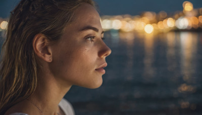 1girl, solo, long hair, brown hair, brown eyes, jewelry, necklace, blurry, lips, profile, night, depth of field, blurry background, freckles, realistic, nose, bokeh