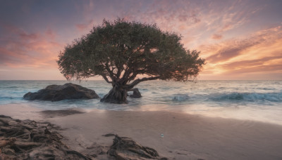 outdoors, sky, cloud, water, tree, no humans, ocean, beach, cloudy sky, scenery, sunset, rock, sand, horizon, shore