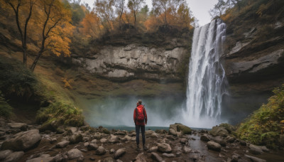 solo, black hair, 1boy, standing, jacket, male focus, outdoors, pants, hood, water, from behind, tree, nature, scenery, red jacket, forest, rock, river, waterfall