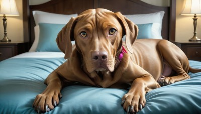 HQ,solo,brown eyes,lying,indoors,collar,pillow,no humans,bed,bed sheet,animal,on bed,claws,dog,realistic,lamp,animal focus,looking at viewer,yellow eyes,tongue,fangs,on stomach,animal collar