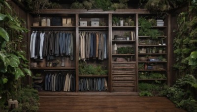 outdoors,indoors,tree,no humans,window,table,bottle,plant,towel,scenery,wooden floor,stairs,door,potted plant,shelf,shop,laundry,shirt,leaf,box,clothes,washing machine