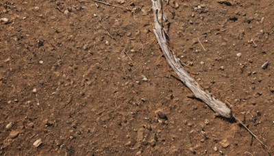 solo,monochrome,outdoors,tree,no humans,leaf,from above,traditional media,nature,scenery,branch,sepia,brown theme,grass,road