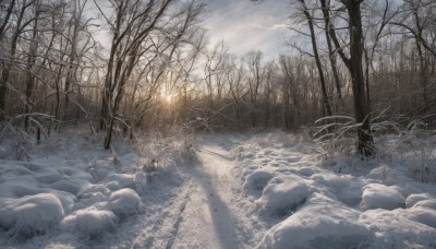 outdoors,sky,day,cloud,tree,no humans,sunlight,cloudy sky,grass,nature,scenery,snow,forest,light rays,fence,winter,bare tree,landscape,1girl,solo,ice,rock,frozen