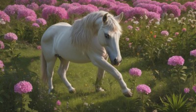 solo,standing,full body,flower,outdoors,day,signature,no humans,animal,grass,bug,plant,butterfly,nature,scenery,pink flower,realistic,field,animal focus,horse,unicorn