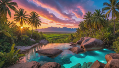 outdoors, sky, cloud, water, tree, no humans, ocean, cloudy sky, grass, plant, nature, scenery, reflection, sunset, rock, palm tree, sun