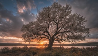 outdoors,sky,cloud,water,tree,blue sky,dutch angle,no humans,sunlight,cloudy sky,grass,nature,scenery,forest,sunset,mountain,sun,horizon,river,landscape,gradient sky,sunrise,ocean,twilight