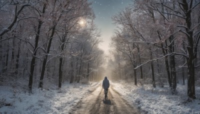 1girl,solo,long hair,standing,outdoors,sky,from behind,tree,night,shadow,moon,star (sky),nature,night sky,scenery,snow,forest,starry sky,walking,snowing,facing away,road,wide shot,winter,bare tree,footprints,1boy,male focus,coat,sunlight,light,ambiguous gender,path