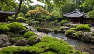 outdoors,day,water,tree,no humans,grass,building,nature,scenery,forest,rock,bush,architecture,east asian architecture,river,shrine,stone,pond,stone lantern,moss,stream