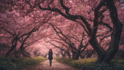 1girl, solo, brown hair, standing, pantyhose, outdoors, bag, from behind, tree, backpack, grass, cherry blossoms, nature, scenery, road, path