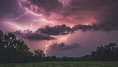 outdoors,sky,cloud,tree,no humans,cloudy sky,grass,nature,scenery,forest,electricity,bush,lightning,red sky,monochrome,sunset