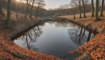 outdoors,day,water,tree,no humans,leaf,sunlight,grass,nature,scenery,forest,reflection,light rays,sun,autumn leaves,maple leaf,river,autumn,landscape,lake,sky,cloud,sunset,mountain,branch,road,bare tree,reflective water