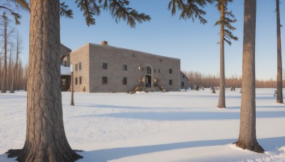 outdoors,sky,day,tree,blue sky,no humans,window,shadow,building,nature,scenery,snow,door,house,winter,bare tree,road