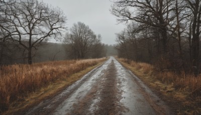 outdoors,sky,day,cloud,tree,no humans,cloudy sky,grass,nature,scenery,snow,forest,mountain,road,bare tree,landscape,fog,grey sky,path,field,overcast