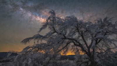 outdoors,sky,cloud,tree,no humans,night,grass,plant,star (sky),nature,night sky,scenery,starry sky,sunset,mountain,branch,bare tree,gradient sky,landscape,milky way