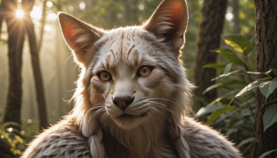 solo,looking at viewer,brown eyes,closed mouth,braid,outdoors,day,blurry,twin braids,tree,no humans,depth of field,blurry background,animal,leaf,cat,plant,portrait,nature,forest,realistic,animal focus,whiskers,yellow eyes,signature,sunlight,close-up