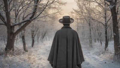 solo,long sleeves,1boy,hat,standing,male focus,outdoors,from behind,cape,tree,coat,black headwear,nature,scenery,cloak,snow,forest,black cape,facing away,bare tree,fedora,black cloak,black hair,gloves,black gloves,grass,top hat,winter,fog