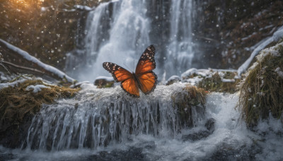 outdoors, water, blurry, tree, no humans, animal, bug, butterfly, nature, scenery, snow, snowing, waterfall