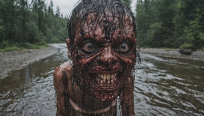 1girl,solo,looking at viewer,smile,open mouth,black hair,green eyes,upper body,outdoors,teeth,day,blurry,tree,wet,blurry background,road,wet hair,photo background,horror (theme),1boy,male focus,water,grin,black eyes,blood,clenched teeth,nature,forest,monster